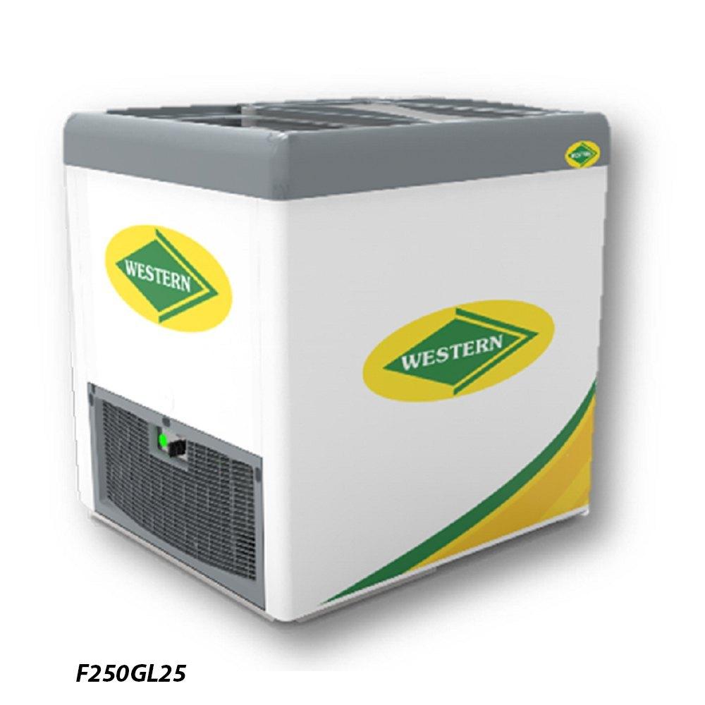 Western F250Gl25 Glass Top Deep Freezer